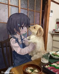 Rule 34 | 1girl, :o, animal, black eyes, black hair, book, chopsticks, colored inner hair, commentary request, dog, food, glass, hair ornament, hairclip, highres, holding, holding animal, holding dog, indoors, long sleeves, looking at animal, miso soup, muika zukin, multicolored hair, on chair, original, parted lips, shirt, short hair, shouji, sitting, sliding doors, sushi, suspenders, table, twitter username, white shirt