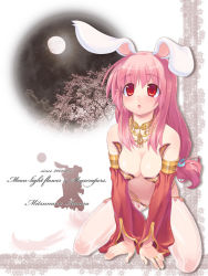 Rule 34 | 1girl, amasa mitsunaru, animal ears, arm warmers, bandeau, blush, rabbit ears, dancer, game, jewelry, long hair, lots of jewelry, necklace, pink hair, ponytail, ragnarok online, red eyes, ring, see-through, solo