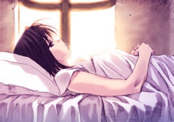 Rule 34 | 1girl, bed, black hair, konsu konsuke, lying, on back, original, pillow, short hair, solo, sunlight, window