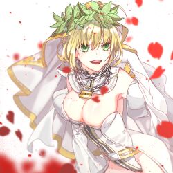 Rule 34 | 1girl, blonde hair, breasts, dress, fate (series), green eyes, large breasts, nero claudius (bride) (fate), nero claudius (fate), nero claudius (fate) (all), pukku, smile, solo, white background, white dress