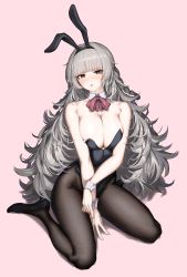 Rule 34 | 1girl, absurdres, animal ears, azur lane, bare shoulders, black footwear, black hairband, black leotard, black pantyhose, blunt bangs, bow, bowtie, braid, breasts, brown eyes, cleavage, commentary request, detached collar, fake animal ears, full body, hairband, highres, kagi f, large breasts, leotard, long hair, looking at viewer, messy hair, open mouth, pantyhose, pink background, playboy bunny, red bow, red bowtie, silver hair, simple background, sitting, solo, strapless, strapless leotard, teeth, upper teeth only, very long hair, vittorio veneto (azur lane), wariza, wrist cuffs