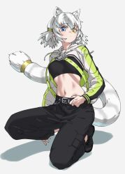 Rule 34 | 1girl, alternate costume, animal ears, belt, black belt, black footwear, black pants, blue eyes, breasts, byakko (kemono friends), closed mouth, commentary, crop top, cross-laced footwear, dot mouth, drawstring, extra ears, full body, grey background, grey hair, hand on belt, heterochromia, highres, hood, hood down, hooded shrug, kemono friends, long sleeves, looking at viewer, medium breasts, midriff, multicolored hair, navel, o-ring, on one knee, pants, shoes, shrug (clothing), simple background, solo, squatting, tail, tail ornament, tail ring, tanabe (fueisei), tiger ears, tiger girl, tiger tail, two-tone hair, white hair, yellow eyes