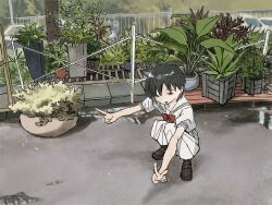 Rule 34 | 1girl, black footwear, black hair, day, double v, grass, highres, loafers, neckerchief, nihiru0513, open mouth, original, outdoors, plant, pleated skirt, potted plant, puddle, railing, red neckerchief, sailor collar, school uniform, serafuku, shirt, shoes, short sleeves, skirt, smile, solo, squatting, v, white sailor collar, white serafuku, white shirt, white skirt, yellow eyes