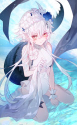 Rule 34 | 00kashian00, 1girl, absurdres, arknights, blue flower, crocodilian tail, flower, hair ornament, hand up, head wreath, highres, looking at viewer, official alternate costume, one-piece swimsuit, short hair with long locks, sitting, solo, swimsuit, tail, tomimi (arknights), tomimi (silent night) (arknights), waist cutout, wariza, water, white flower, white hair, white wrist cuffs, wrist cuffs, x hair ornament, yellow eyes