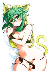 Rule 34 | 1girl, ahoge, animal ears, atalanta (fate), blonde hair, blush, breasts, cat ears, fate/apocrypha, fate/grand order, fate (series), green eyes, green hair, highres, long hair, looking at viewer, multicolored hair, navel, ryuuri (aoithigo), solo, swimsuit, tail, two-tone hair