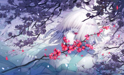 Rule 34 | ambiguous gender, bad id, bad pixiv id, bob cut, branch, cherry blossoms, colored skin, danhu, eyes visible through hair, fingernails, flower, hair over one eye, highres, holding, holding branch, japanese clothes, original, outdoors, petals, pink flower, plum, plum blossoms, red eyes, red flower, short hair, signature, solo, tree, upper body, white hair, white skin, white theme