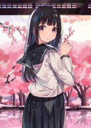 Rule 34 | 1girl, absurdres, black hair, black sailor collar, black skirt, blurry, blurry background, blush, branch, chitanda eru, closed mouth, commentary request, depth of field, flower, hand up, highres, holding, holding branch, hyouka, kamiyama high school uniform (hyouka), long hair, long sleeves, norazura, pink flower, pleated skirt, purple eyes, rain, ripples, sailor collar, school uniform, serafuku, shirt, skirt, smile, solo, tree, very long hair, water, white shirt