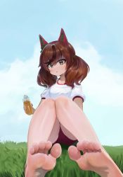 Rule 34 | 1girl, animal ears, barefoot, blue sky, blush, bottle, breasts, brown eyes, brown hair, buruma, cloud, commentary request, day, dokomon, feet, foreshortening, gym shirt, gym uniform, hair between eyes, highres, holding, holding bottle, horse ears, legs, looking at viewer, multicolored hair, nice nature (umamusume), on grass, outdoors, parted lips, puffy short sleeves, puffy sleeves, red buruma, shirt, short sleeves, sitting, sky, small breasts, soles, solo, streaked hair, sweat, twintails, umamusume, white shirt