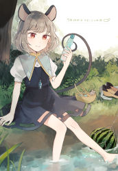 Rule 34 | 1girl, animal ears, black dress, blue capelet, blush, bottle, bush, capelet, closed eyes, closed mouth, commentary request, cup, dress, drinking glass, drinking straw, food, fruit, gold trim, grass, grey hair, highres, holding, holding bottle, jewelry, mouse (animal), mouse ears, mouse girl, mouse tail, mozukuzu (manukedori), nazrin, pendant, puffy short sleeves, puffy sleeves, ramune, red eyes, river, shirt, shoes, short hair, short sleeves, sitting, smile, solo, splashing, swimming, tail, touhou, tree, unworn shoes, unworn socks, water, watermelon, white legwear, white shirt, yellow innertube