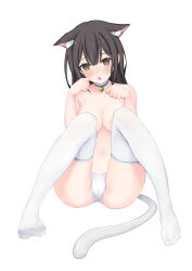 Rule 34 | 1girl, absurdres, animal ears, bell, black hair, blue collar, blush, breasts, brown eyes, cameltoe, cat ears, cat lingerie, cat tail, cleavage, collar, collarbone, commentary request, echiru39, feet, frills, grey hair, highres, kemonomimi mode, knees together feet apart, long hair, looking at viewer, medium breasts, meme attire, navel, neck bell, no shoes, original, panties, parted lips, paw pose, simple background, sitting, solo, tail, thighhighs, topless, underwear, very long hair, white background, white panties, white thighhighs