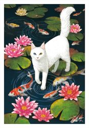 Rule 34 | animal focus, cat, flower, heterochromia, koi, lily pad, looking at viewer, no humans, original, outdoors, ripples, signature, takigraphic, walking, walking on liquid, water, white cat