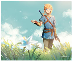 Rule 34 | 1boy, artist name, azu-taro, black pants, blonde hair, blue eyes, blue flower, blue shirt, blue sky, closed mouth, cloud, cloudy sky, commentary, cowboy shot, day, english text, fingerless gloves, flower, gloves, grass, light smile, link, male focus, nintendo, outdoors, outstretched arm, pants, pointy ears, shirt, short hair, sidelocks, silent princess, sky, smile, solo, standing, strap, sunlight, sword, the legend of zelda, the legend of zelda: breath of the wild, twitter username, vambraces, weapon, weapon on back, wind