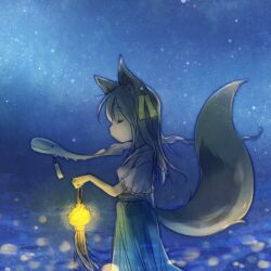 Rule 34 | 1girl, animal ear fluff, animal ears, blue skirt, brown hair, closed eyes, commentary request, creature, dated commentary, feet out of frame, fox ears, fox girl, fox tail, from side, hair ornament, hand up, holding, holding lantern, lantern, long skirt, lowres, night, no mouth, original, outdoors, rakuni, short sleeves, skirt, sky, solo, star (sky), starry sky, tail, tanabata, tanzaku, wide sleeves