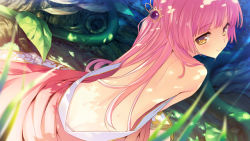 Rule 34 | 1girl, back, back focus, bare back, character request, clothes down, dappled sunlight, dutch angle, from behind, game cg, hair ornament, kleito (tears to tiara ii), long hair, looking at viewer, looking back, off shoulder, outdoors, pink hair, smile, solo, sunlight, sweat, tatami to hinoki, tears to tiara, tears to tiara ii, tree shade, yellow eyes