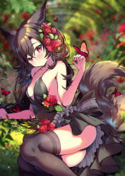 Rule 34 | 07touka25, animal ears, arm support, backless dress, backless outfit, bare arms, black dress, black panties, black thighhighs, blush, breasts, brown hair, bug, butterfly, butterfly on hand, closed mouth, crossed bangs, dress, expressionless, flower, frills, hair between eyes, hair flower, hair ornament, highres, insect, long hair, lying, medium breasts, on side, original, outdoors, panties, parted bangs, petals, red eyes, sideboob, spaghetti strap, swept bangs, tail, thighhighs, thighs, underwear
