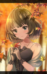 Rule 34 | 1girl, artist name, autumn leaves, bad id, bad pixiv id, blue eyes, blurry, commentary request, depth of field, dress, gloves, green eyes, heterochromia, highres, idolmaster, idolmaster cinderella girls, inika, letterboxed, looking at viewer, mole, mole under eye, parted lips, shawl, short hair, smile, solo, takagaki kaede