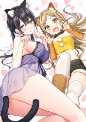 Rule 34 | 2girls, :d, animal ear fluff, animal ears, arm warmers, bandeau, bare arms, bare shoulders, black hair, black shorts, breasts, brown eyes, brown hair, cat ears, cat girl, cat tail, check copyright, chemise, claw pose, collar, copyright request, fang, heart, heart-shaped pupils, large breasts, long hair, looking at viewer, masuishi kinoto, midriff, multiple girls, nightgown, open mouth, original, parted lips, purple eyes, short shorts, shorts, smile, strapless, symbol-shaped pupils, tail, thighhighs, thighs, tube top, twintails, white legwear, yellow bandeau