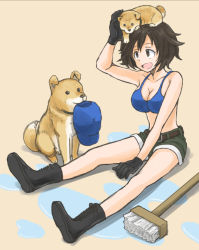 Rule 34 | 1girl, akiyama yukari, animal, animal on head, baseball cap, belt, bikini, bikini top only, black belt, black footwear, black gloves, blue bikini, blue hat, boots, breasts, brown eyes, brown hair, casual, cleavage, combat boots, cross-laced footwear, full body, girls und panzer, gloves, green shorts, hand on own head, hat, lace-up boots, medium breasts, messy hair, mutsu (layergreen), on head, open mouth, petting, shadow, short hair, short shorts, shorts, sitting, smile, solo, swimsuit