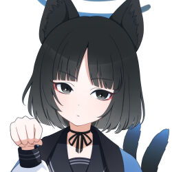Rule 34 | 1girl, animal ears, black eyes, black hair, black sailor collar, blue archive, blue halo, cat ears, cat tail, closed mouth, eyeshadow, halo, haori, highres, japanese clothes, kikyou (blue archive), long sleeves, looking at viewer, makeup, multiple tails, petako (ptpt k), portrait, red eyeshadow, sailor collar, school uniform, serafuku, short hair, simple background, solo, tail, two tails, white background