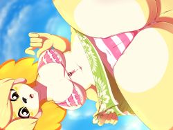 Rule 34 | 1girl, animal crossing, animal nose, bikini, blonde hair, breasts, breasts apart, cameltoe, cleft of venus, dog girl, dog tail, dutch angle, foreshortening, from below, front-tie bikini top, front-tie top, furry, furry female, gluteal fold, halterneck, highres, isabelle (animal crossing), looking at viewer, looking away, medium breasts, medium hair, multicolored hair, navel, nintendo, open mouth, orange hair, rainbowscreen, sky, solo, spread legs, stomach, strap gap, striped bikini, striped clothes, swept bangs, swimsuit, tail, teeth, two-tone hair, underboob, upper teeth only