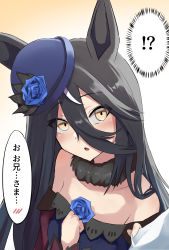 Rule 34 | !?, 1girl, 1other, animal ears, bare shoulders, black hair, blue flower, blue headwear, blue rose, commentary request, cosplay, dress, flower, hair between eyes, hand on own chest, hat, highres, horse ears, light blush, long hair, looking at viewer, manhattan cafe (umamusume), off-shoulder dress, off shoulder, open mouth, out of frame, parted lips, rice shower (umamusume), rice shower (umamusume) (cosplay), rose, shimofuji jun, shirt tug, solo focus, speech bubble, spoken blush, translation request, umamusume, upper body, yellow eyes