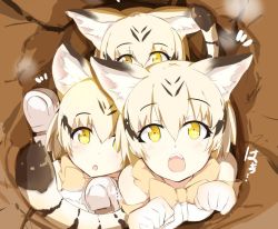 Rule 34 | 10s, 3girls, animal ears, bare shoulders, blonde hair, bow, bowtie, brown hair, cat ears, cat girl, cat tail, derivative work, elbow gloves, gloves, kemono friends, looking at viewer, multicolored hair, multiple girls, open mouth, paw pose, photo-referenced, sand cat (kemono friends), short hair, streaked hair, striped tail, tahita1874, tail, yellow eyes