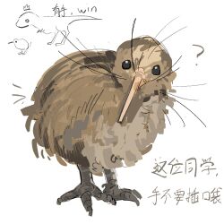Rule 34 | ?, animal focus, bird, chinese commentary, chinese text, commentary request, kiwi (bird), no humans, original, simple background, solo, translation request, whiskers, white background, zhanghemankong