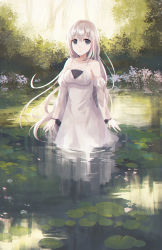 Rule 34 | 1girl, bare shoulders, blue eyes, breasts, chihuri, collarbone, commentary request, day, detached sleeves, dress, fingernails, flower, forest, hair between eyes, highres, juliet sleeves, lily pad, long hair, long sleeves, looking at viewer, medium breasts, nature, original, outdoors, parted lips, puffy sleeves, reflection, silver hair, sleeveless, sleeveless dress, solo, standing, tree, very long hair, water, white dress, white flower