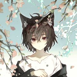 Rule 34 | 1boy, animal ear fluff, animal ears, black jacket, brown hair, cherry blossoms, chinese commentary, choker, closed mouth, commentary request, fox boy, fox ears, hair between eyes, highres, hood, hood down, hooded jacket, isoi haruki, jacket, kemonomimi mode, long sleeves, looking at viewer, male focus, open clothes, open jacket, portrait, red eyes, saibou shinkyoku, shirt, short hair, solo, white shirt, xiaohuaitongxue