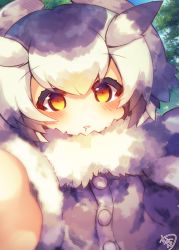 Rule 34 | 10s, 1girl, blue sky, blush, coat, commentary request, day, drooling, fur-trimmed sleeves, fur collar, fur trim, grey coat, grey hair, hair between eyes, hair wings, highres, kemono friends, long sleeves, multicolored hair, muuran, northern white-faced owl (kemono friends), orange eyes, outdoors, outstretched arm, parted lips, signature, sky, solo, white hair