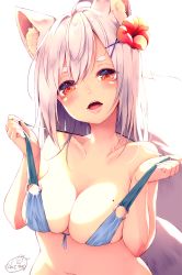 Rule 34 | 1girl, animal ear fluff, animal ears, bikini, blue bikini, blush, breasts, chita (ketchup), collarbone, flower, fox ears, fox girl, fox tail, front-tie bikini top, front-tie top, grey hair, hair flower, hair ornament, hands up, head tilt, highres, large breasts, lifting own clothes, looking at viewer, mole, mole on breast, navel, o-ring, o-ring top, open mouth, original, red eyes, red flower, signature, simple background, skindentation, solo, strap lift, swimsuit, tail, thick eyebrows, upper body, white background, x hair ornament