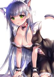 Rule 34 | 1girl, alternate costume, animal ear fluff, animal ears, arm support, black dress, black ribbon, blush, breasts, cat ears, cat girl, cat tail, cleavage, collar, collarbone, colored shadow, commentary, dress, drop shadow, enmaided, facial mark, flying sweatdrops, frilled dress, frills, girls&#039; frontline, green eyes, hair ribbon, heart, heart collar, highres, hk416 (girls&#039; frontline), kemonomimi mode, long hair, maid, maid headdress, medium breasts, parted lips, puffy short sleeves, puffy sleeves, red collar, ribbon, shadow, short sleeves, silver hair, solo, sweat, tail, tail raised, very long hair, white background, wrist cuffs, xes (xes 5377)