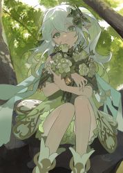 Rule 34 | + +, 1girl, bouquet, closed mouth, commentary, dress, eyebrows hidden by hair, fingernails, flower, frown, full body, genshin impact, green dress, green eyes, green flower, green hair, hair between eyes, hair ornament, highres, holding, holding bouquet, in tree, kushami deso, leaf, looking at viewer, nahida (genshin impact), one side up, outdoors, pointy ears, shoes, sitting, sitting in tree, solo, tree, wavy hair, white footwear, white hair