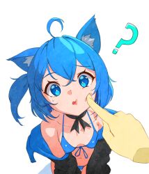 Rule 34 | 1girl, ?, absurdres, ahoge, animal ear fluff, animal ears, bare shoulders, bikini, black jacket, blue bikini, blue eyes, blue hair, breasts, breasts apart, bright pupils, cheek poking, disembodied hand, feet out of frame, from above, halterneck, highres, jacket, long sleeves, looking at viewer, navel, off shoulder, one side up, open clothes, open jacket, original, pjman, poking, short hair, simple background, small breasts, solo, string bikini, sweatdrop, swimsuit, white background, white pupils