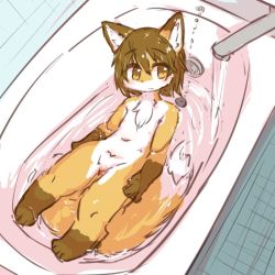 Rule 34 | bathtub, brown eyes, brown hair, fox, furry, nude, ohakotome