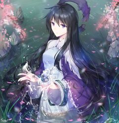 Rule 34 | 1girl, black hair, blue dress, blue eyes, breasts, commentary request, dress, floating hair, flower, grass, houshin engi, long hair, long sleeves, medium breasts, open hands, outdoors, partially immersed, partially submerged, petals, petals on liquid, plant, rock, ryuukitsu koushu, signature, solo, soriya, sparkle, standing, tall grass, very long hair, wading, water, wide sleeves