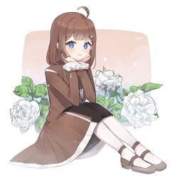 Rule 34 | 1girl, ahoge, black skirt, blue eyes, blush, brown coat, brown footwear, brown hair, closed mouth, coat, flower, frilled sleeves, frills, hod (project moon), library of ruina, long sleeves, love mintchoco, medium hair, pantyhose, project moon, shoes, sidelocks, sitting, skirt, smile, solo, white flower, white pantyhose