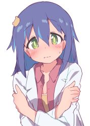 Rule 34 | 1girl, blue hair, blush, coat, commentary request, dot nose, green eyes, hair between eyes, hair ornament, hairclip, hatafuta, lab coat, long hair, long sleeves, looking at viewer, multicolored hair, onii-chan wa oshimai!, open clothes, open coat, open shirt, red shirt, shirt, simple background, sketch, solo, streaked hair, sweatdrop, tenkawa nayuta, two-tone hair, upper body, wavy mouth, white background, wing collar
