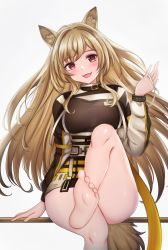 Rule 34 | 1girl, :d, animal ear fluff, animal ears, arknights, bare legs, barefoot, blush, breasts, brown hair, ceobe (arknights), commentary, fang, feet, grey background, hand up, head tilt, kyomu (7641), long hair, long sleeves, looking at viewer, medium breasts, open mouth, red eyes, simple background, sitting, skin fang, smile, soles, solo, tail, thighs, toes, very long hair