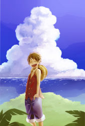 Rule 34 | 1boy, black hair, blue sky, cloud, grass, hand in pocket, hat, male focus, monkey d. luffy, nature, ocean, one piece, outdoors, red vest, scar, scenery, shorts, sky, smile, solo, standing, straw hat, vest, water, wind, yamaguchi mococo