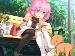 Rule 34 | 1girl, asymmetrical legwear, bench, blue eyes, blush, breasts, detached sleeves, dog, game cg, long hair, outdoors, pantyhose, park bench, pink hair, puppy, rance (series), rance 01, sill plain, sitting, smile, solo, uneven legwear