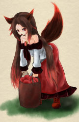 Rule 34 | 1girl, animal ears, apple, bag, bent over, blue dress, boots, brooch, brown background, brown hair, collarbone, dress, eyelashes, fang, flat chest, food, fruit, full body, goma dango, grass, highres, imaizumi kagerou, jewelry, long hair, long sleeves, looking to the side, multicolored clothes, multicolored dress, multicolored hair, off shoulder, open mouth, red dress, red eyes, red hair, simple background, solo, strapless, strapless dress, streaked hair, tail, touhou, very long hair, wolf ears, wolf tail