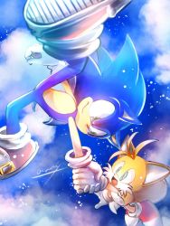 Rule 34 | 2boys, blue eyes, cloud, fox boy, furry, furry male, gloves, green eyes, holding hands, highres, male focus, multiple boys, open mouth, shoes, sky, sneakers, sonic (series), sonic the hedgehog, star (sky), starry sky, tails (sonic), tondamanuke, white gloves