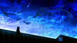 Rule 34 | absurdres, black cat, blue sky, blue theme, cat, cloud, comet, dusk, flying whale, highres, hoshino mizuki (hoshino 263f), no humans, original, radio antenna, rooftop, scenery, shooting star, sky, star (sky), starry sky, whale, window