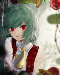 Rule 34 | 1girl, ascot, black pantyhose, blurry, blurry background, closed mouth, commentary request, daimaou ruaeru, fang, food, fruit, green hair, highres, kazami yuuka, knees up, long sleeves, pantyhose, plaid, plaid vest, plant, pomegranate, red eyes, red vest, shirt, short hair, sitting, smile, solo, touhou, upper body, venus flytrap, vest, water, white shirt, wing collar, yellow ascot