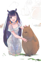 Rule 34 | 1girl, ;d, animal, bathing, blue eyes, breasts, capybara, cellphone, cleavage, collar, collarbone, dress, fang, flat chest, floral print, flower, food, food on head, fruit, fruit on head, full body, gradient hair, hair flower, hair ornament, headpat, highres, holding, holding phone, hololive, hololive english, holomyth, kneeling, long hair, looking at viewer, mandarin orange, mole, mole under eye, multicolored hair, ninomae ina&#039;nis, object on head, one eye closed, open mouth, orange hair, petting, phone, pointy ears, purple hair, sandals, short sleeves, sidelocks, simple background, sketch, smartphone, smile, solo, squatting, taking picture, tallgeese (lgeesel), teeth, tentacle hair, toenails, upper teeth only, very long hair, virtual youtuber, white collar, white dress, white flower, white footwear