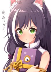 Rule 34 | 1girl, ame., animal ear fluff, animal ears, bare shoulders, black hair, blush, bow, box, cat ears, commentary request, fang, gift, gift box, green eyes, hair bow, karyl (princess connect!), long hair, looking at viewer, multicolored hair, hugging object, parted lips, princess connect!, purple bow, shirt, simple background, sleeveless, sleeveless shirt, solo, streaked hair, translation request, upper body, white background, white hair, white shirt, yellow bow