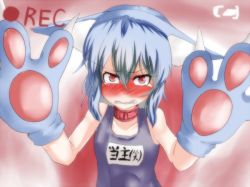 Rule 34 | 1girl, animal ears, animal hands, blue hair, blush, cat ears, cat girl, collar, embarrassed, female focus, gloves, kemonomimi mode, one-piece swimsuit, paw gloves, recording, red eyes, remilia scarlet, school swimsuit, short hair, solo, swimsuit, takorice, tears, touhou, upper body, wavy mouth