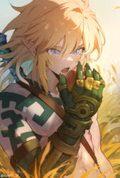 Rule 34 | 1boy, arm tattoo, artist name, blonde hair, blue eyes, blurry, blurry foreground, blush, collarbone, colored skin, day, eating, grass, green skin, hair between eyes, hand up, highres, holding apple, jewelry, link, long hair, male focus, master sword, multiple rings, navel, nintendo, nipples, nude, open mouth, outdoors, prosthesis, prosthetic arm, ring, shoulder tattoo, sidelocks, solo, stomach, suahh, tattoo, the legend of zelda, the legend of zelda: tears of the kingdom, toned, twitter username, upper body, watermark, weapon, weapon on back, wind