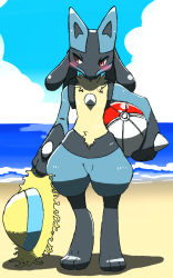 Rule 34 | 1boy, absurdres, animal ears, ball, beach, beachball, black fur, blue fur, blue sky, blush, body fur, chizi, cloud, commentary request, creatures (company), day, full body, furry, furry male, game freak, gen 4 pokemon, hat, highres, holding, horizon, looking to the side, lucario, male focus, nintendo, ocean, outdoors, poke ball theme, pokemon, pokemon (creature), red eyes, sand, sky, snout, solo, spikes, standing, sun hat, water, wolf boy, wolf ears, yellow fur, yellow hat